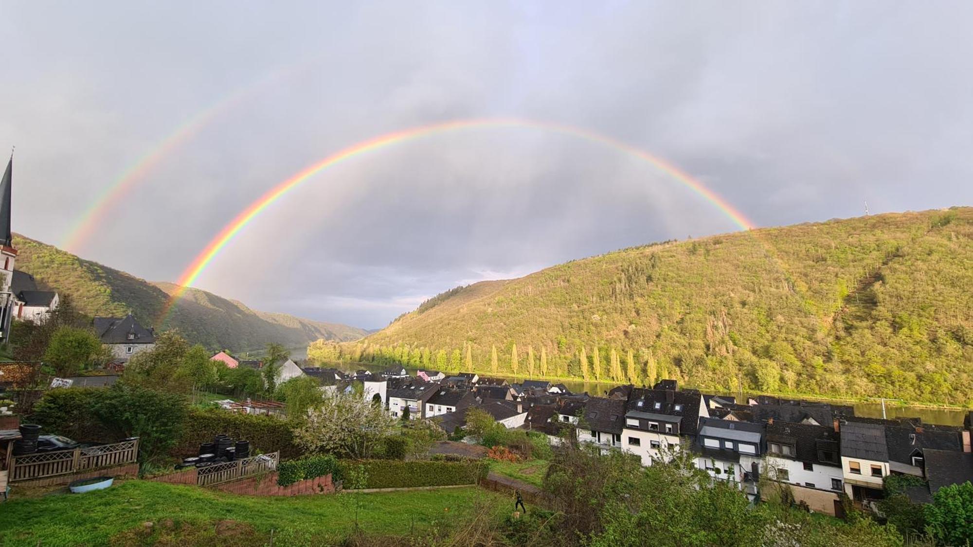 Mit Moselblick * Klotten