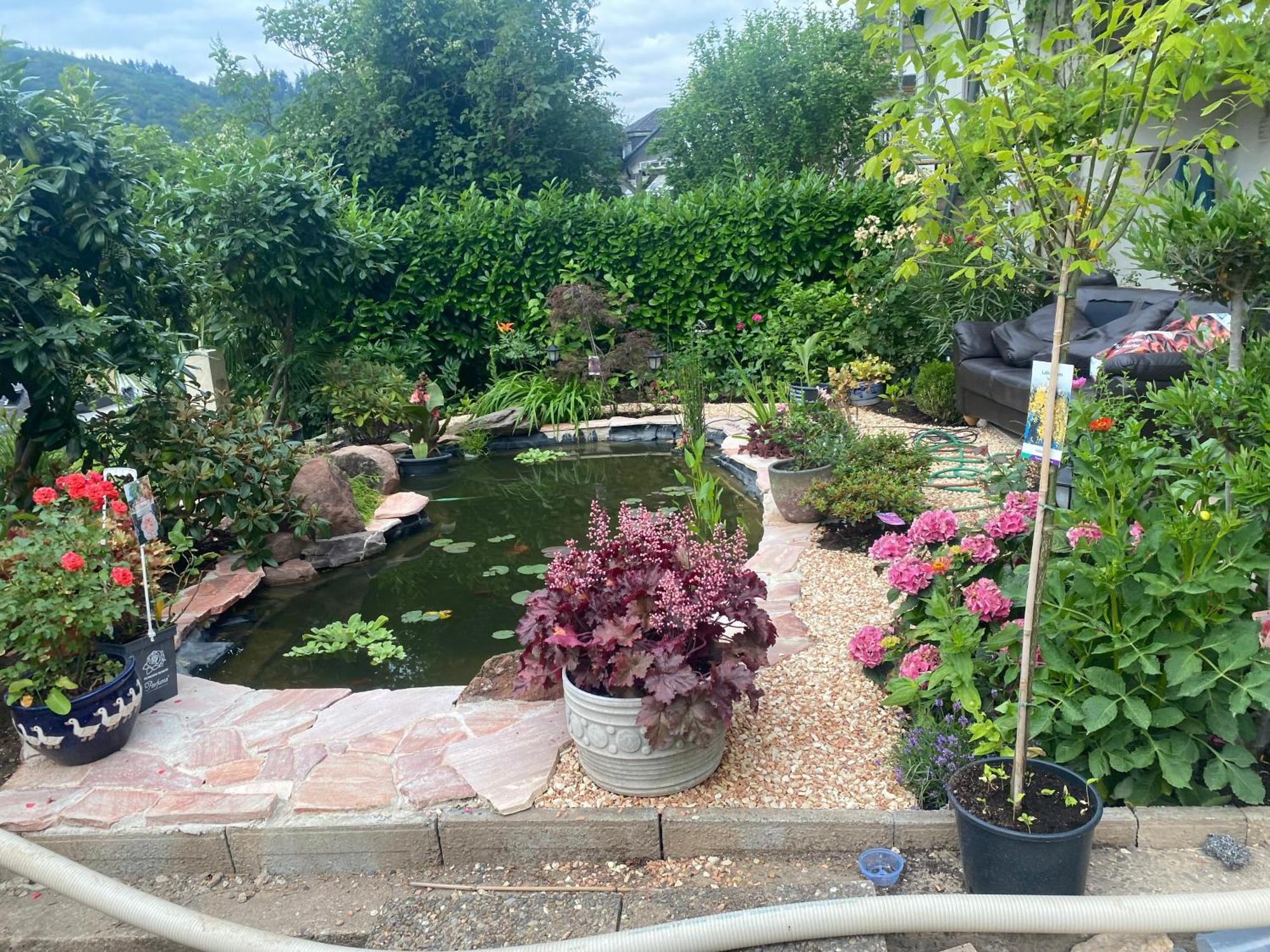Mit Moselblick * Klotten