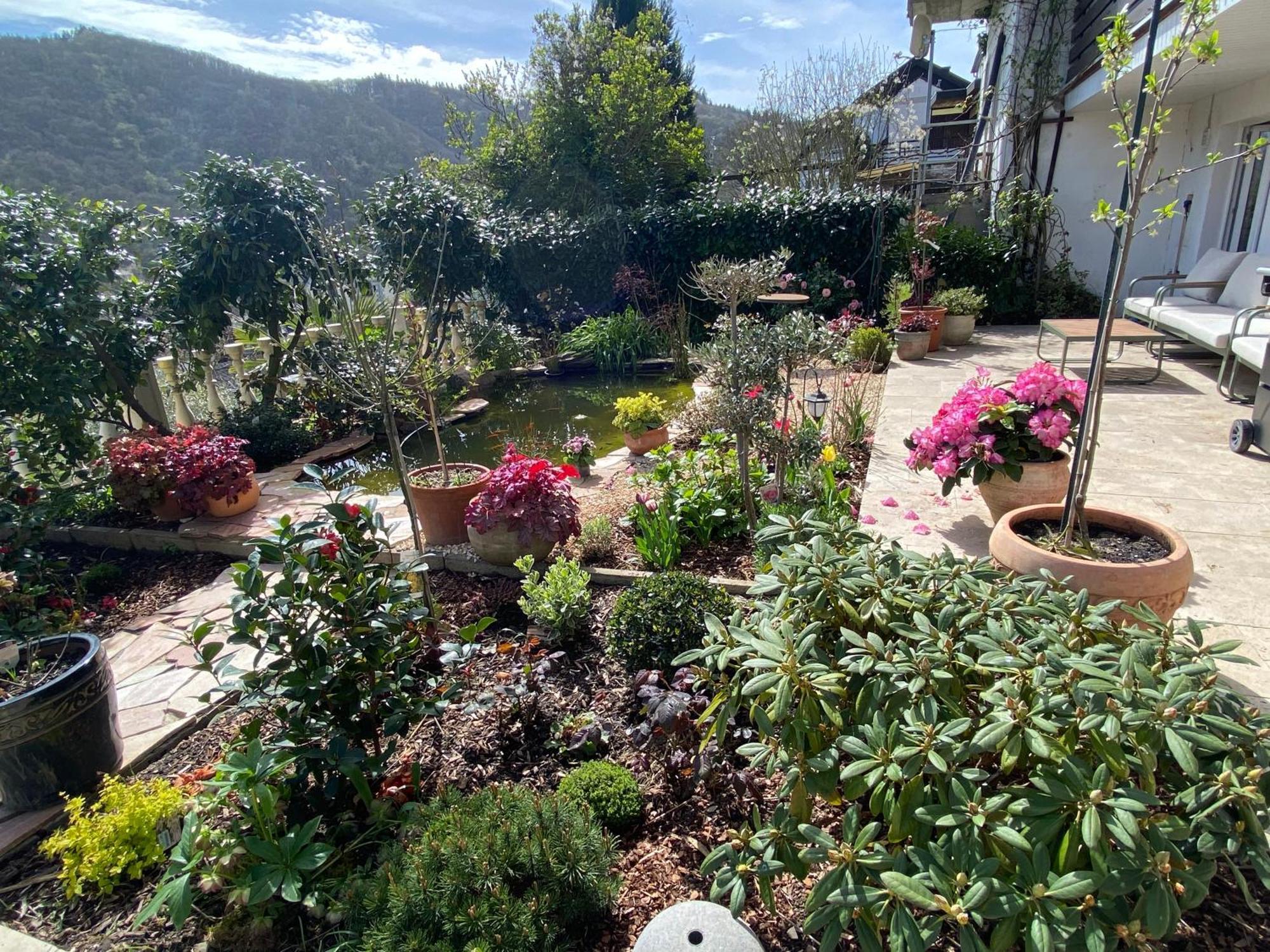 Apartamento Mit Moselblick